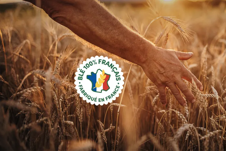 blé responsable français